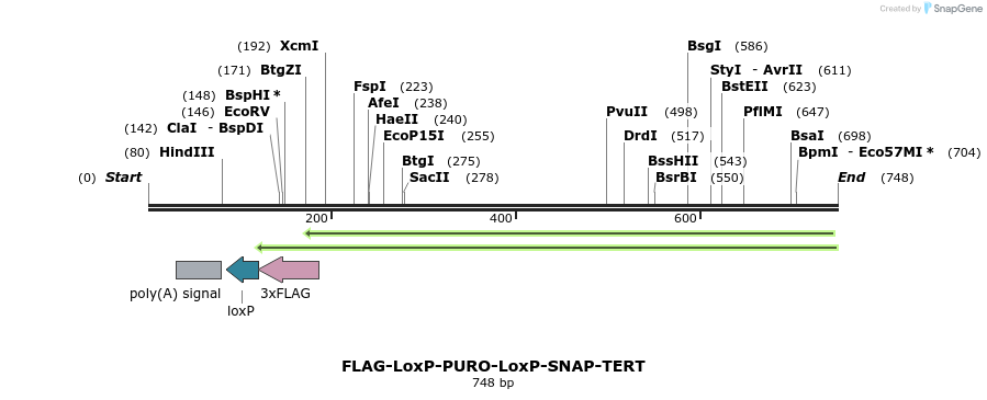 132004_map