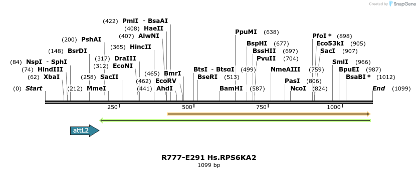 132010_map