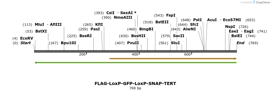 132019_map