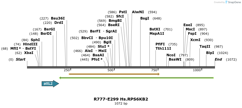 132021_map