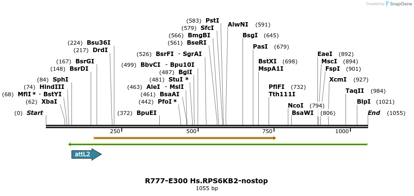 132022_map