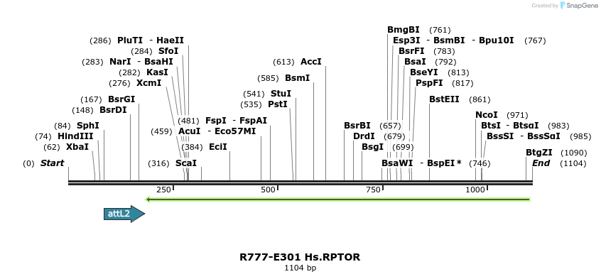 132023_map