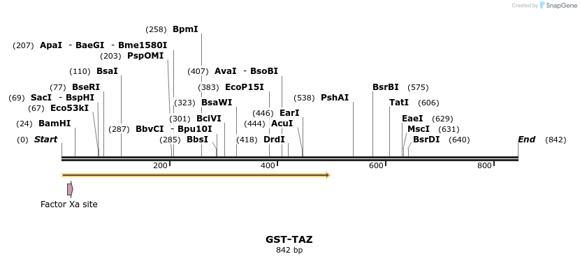 132025_map
