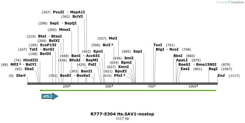 132028_map