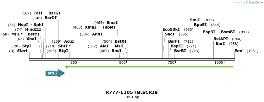 132029_map