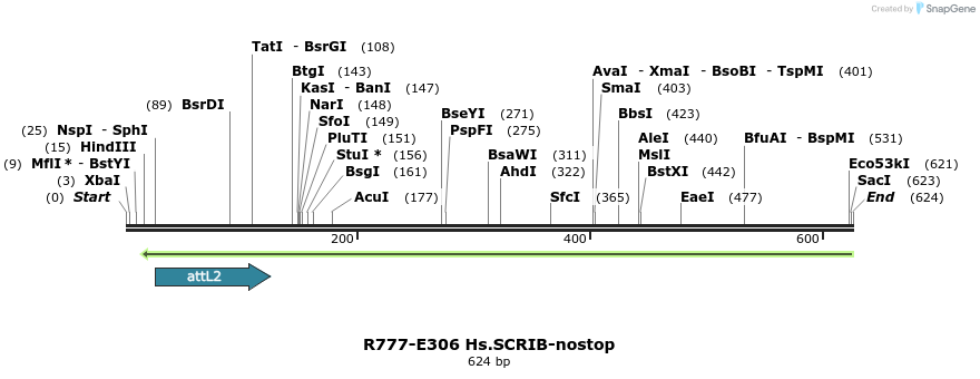 132030_map