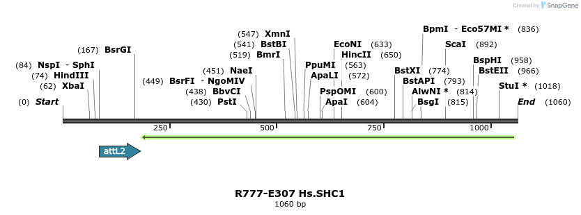 132034_map