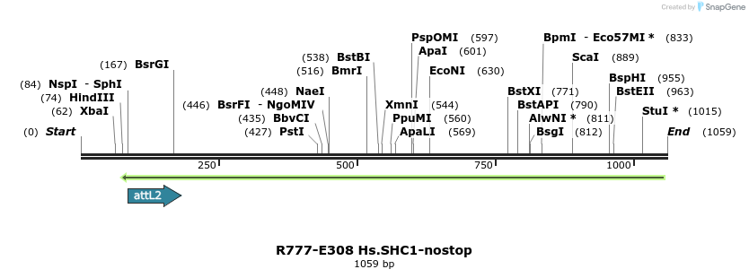 132036_map