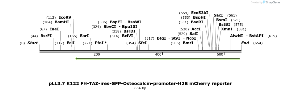 132037_map