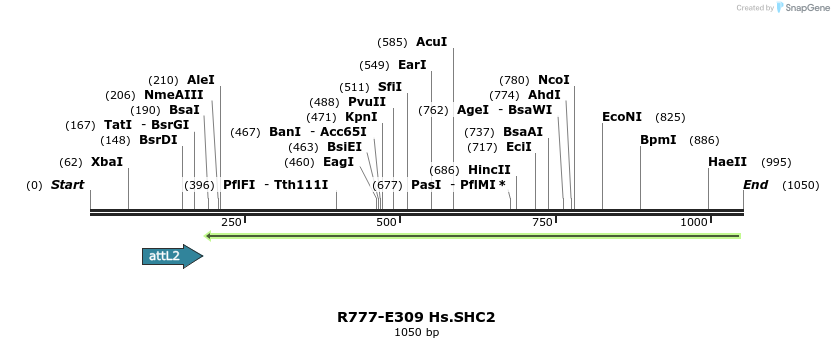 132038_map