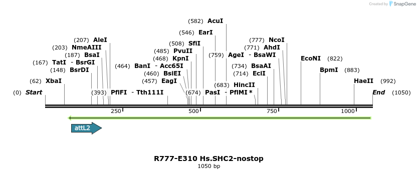 132039_map