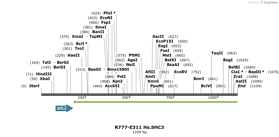 132042_map