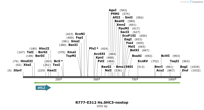 132043_map