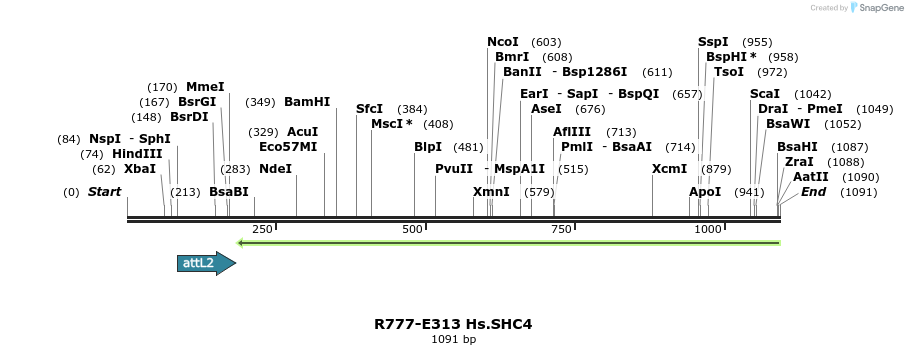 132044_map