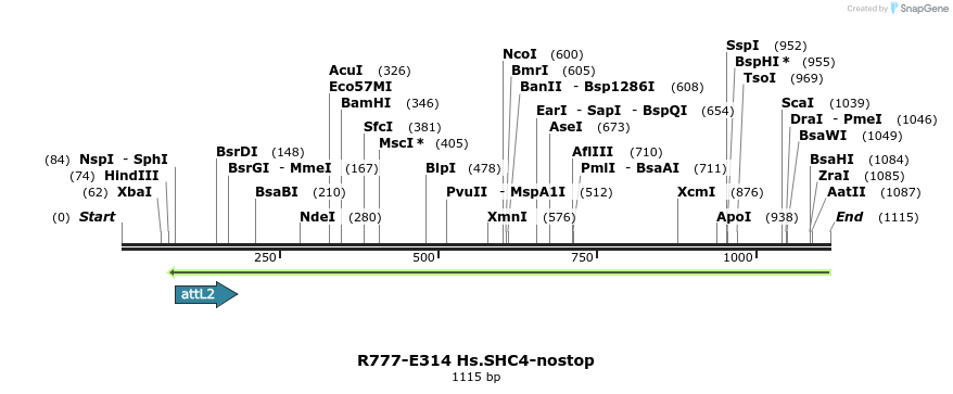 132045_map