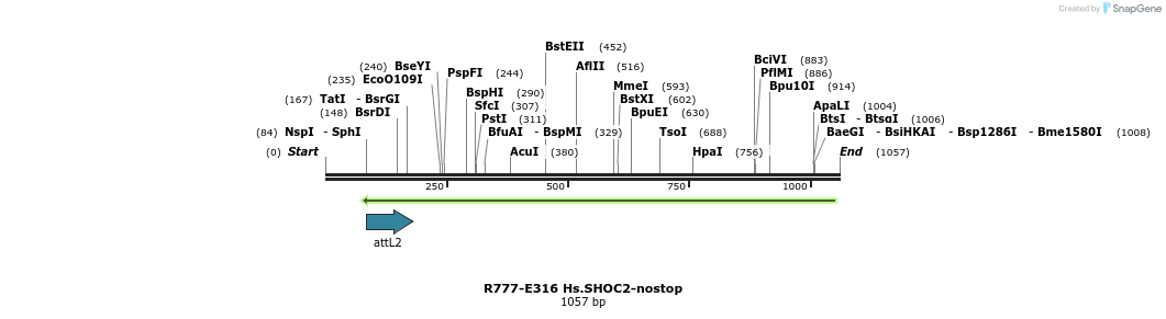 132047_map
