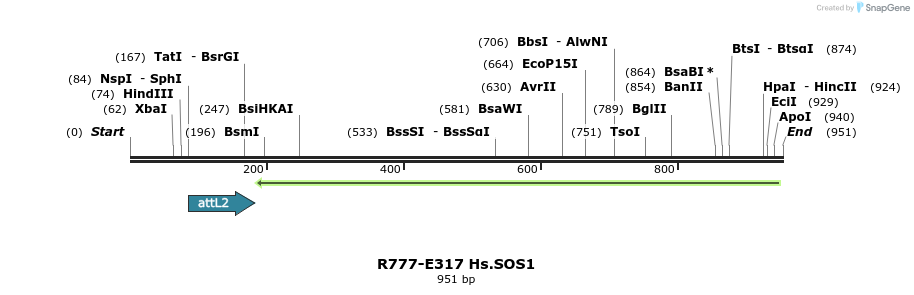132048_map