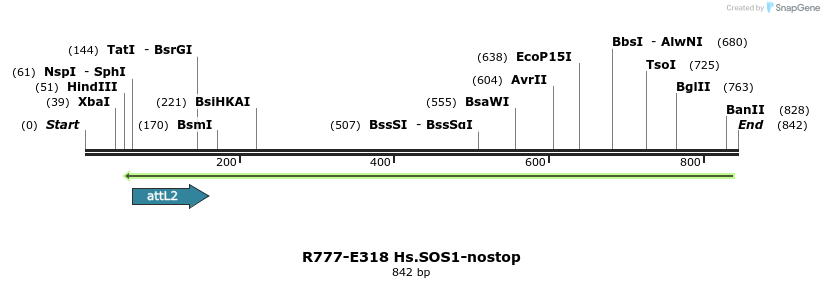 132049_map