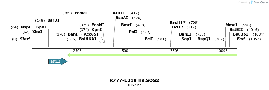 132052_map