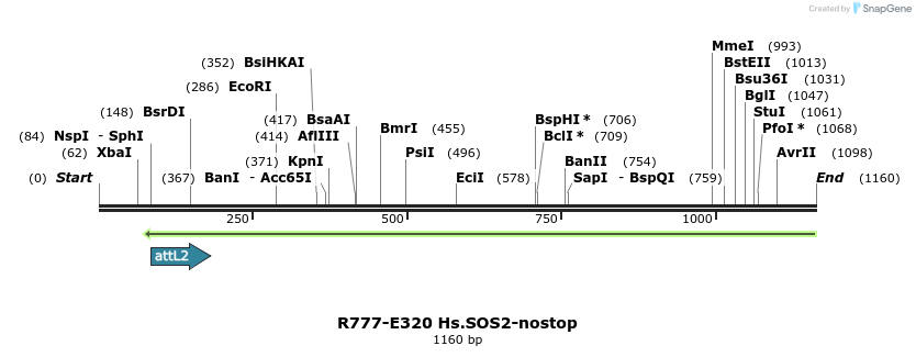 132053_map