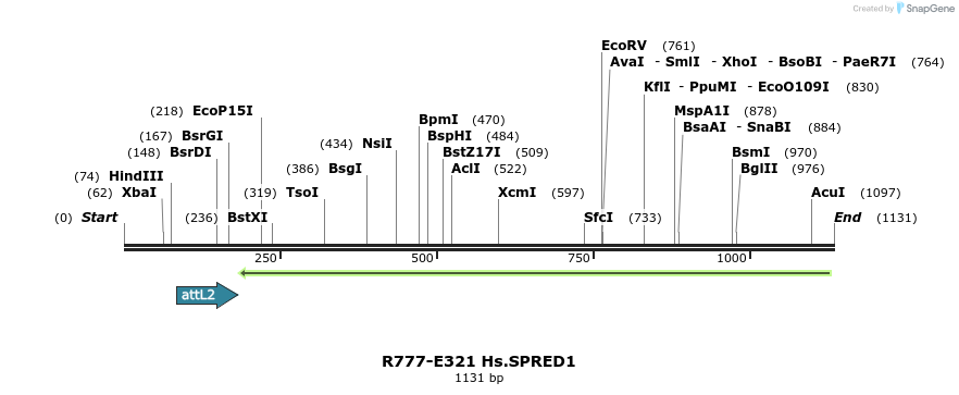 132054_map