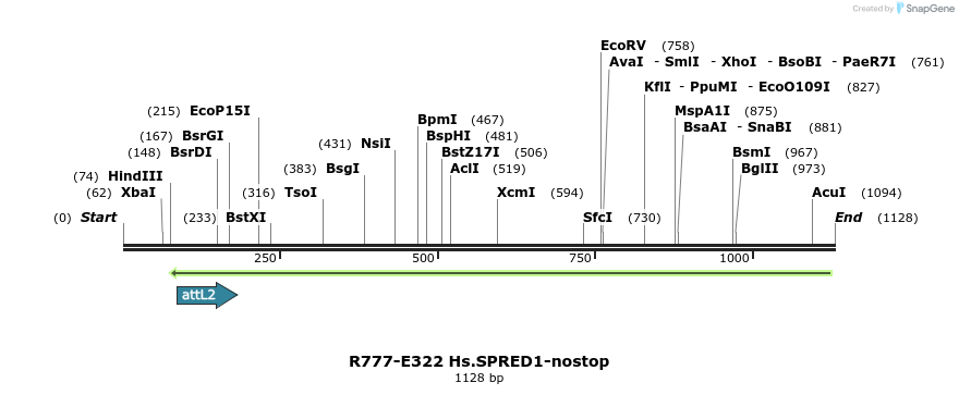 132055_map