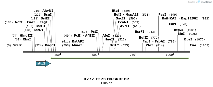 132056_map