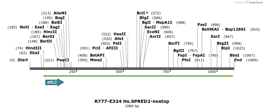 132057_map
