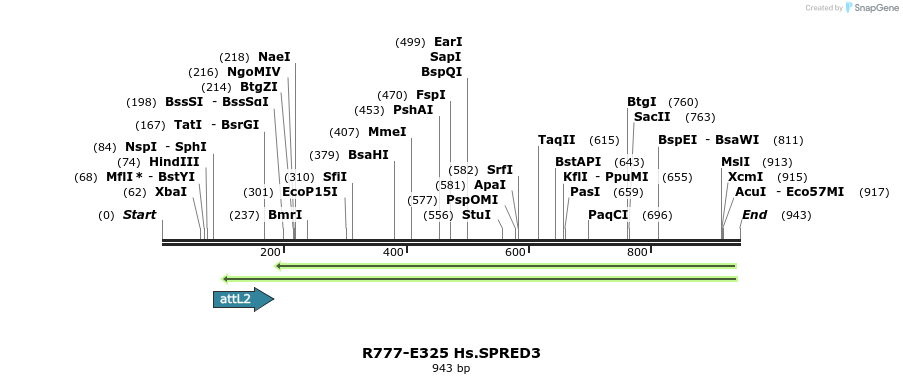 132058_map