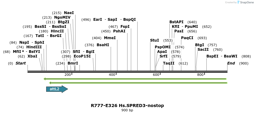 132059_map