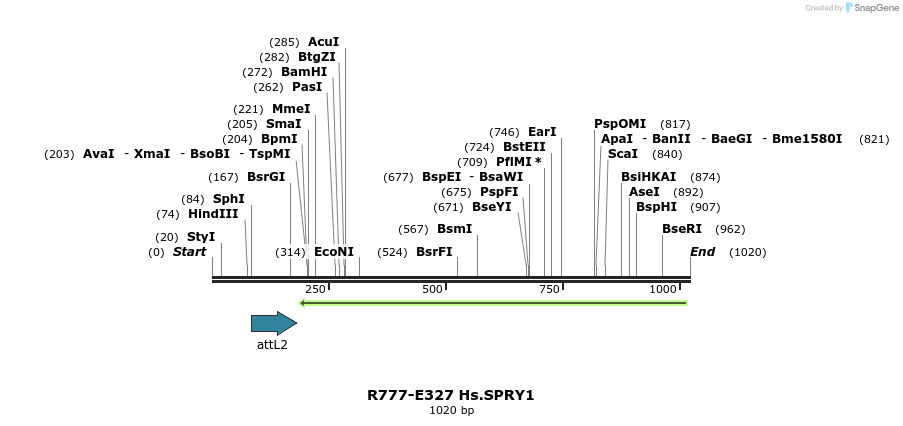 132060_map
