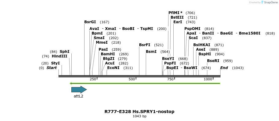 132061_map