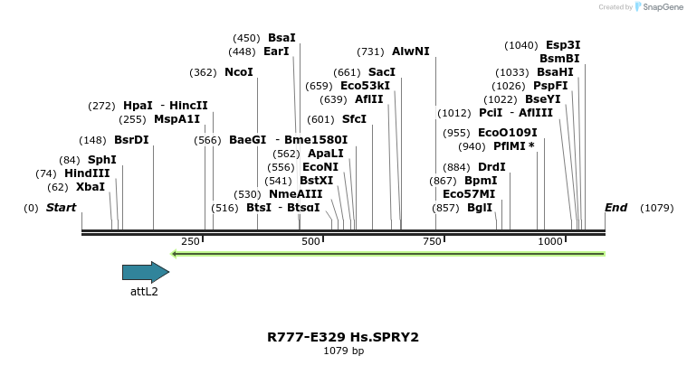 132062_map