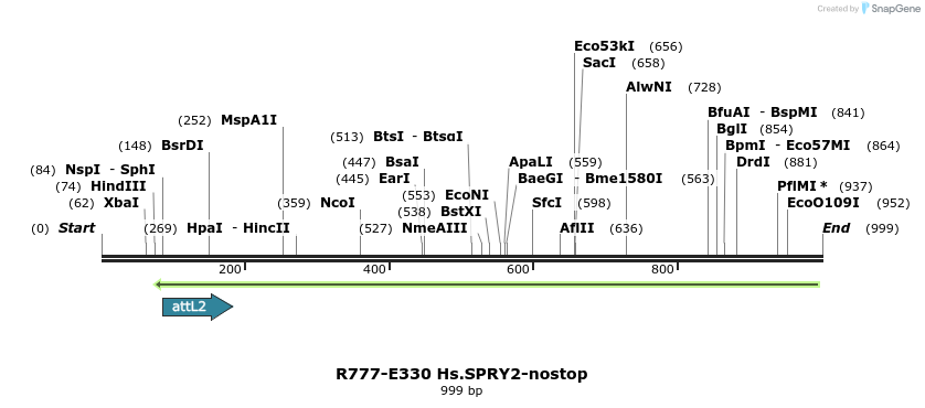 132064_map