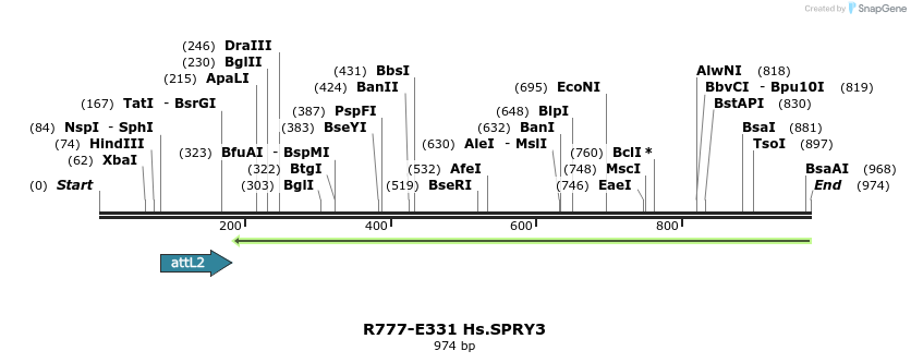 132068_map