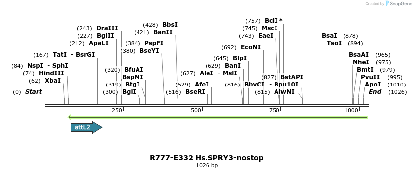 132069_map