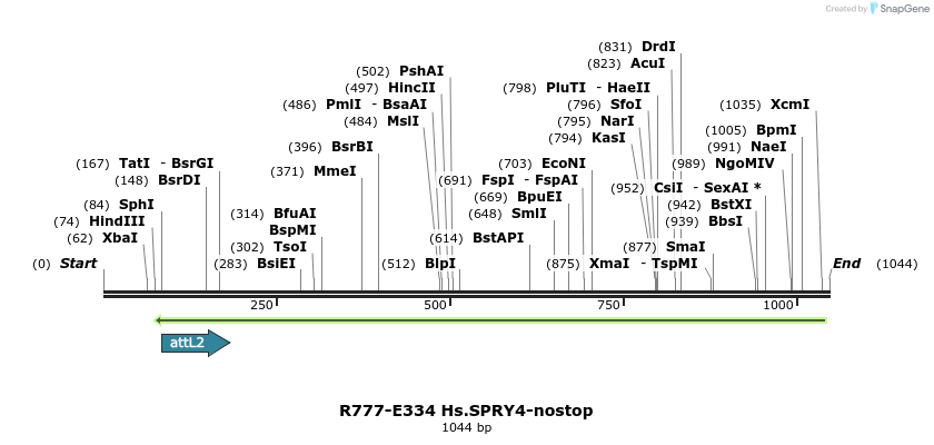 132070_map