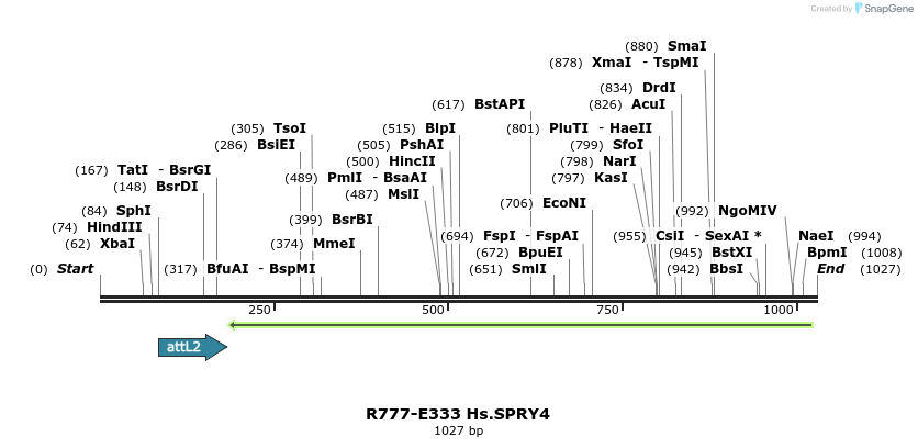 132071_map