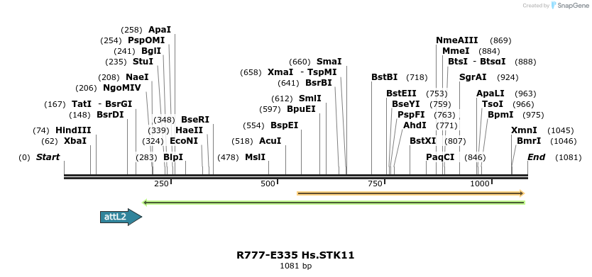 132072_map