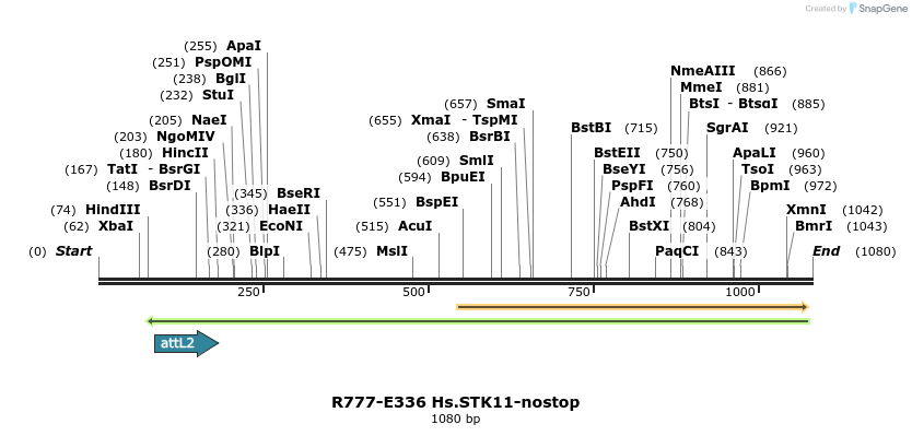 132073_map