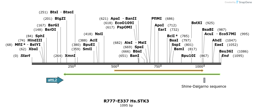 132076_map