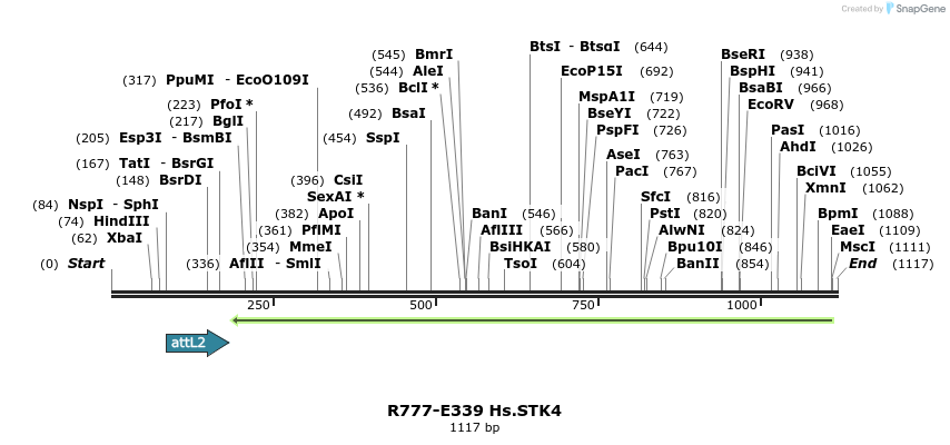 132078_map