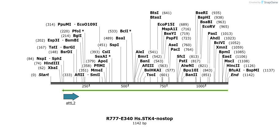 132079_map