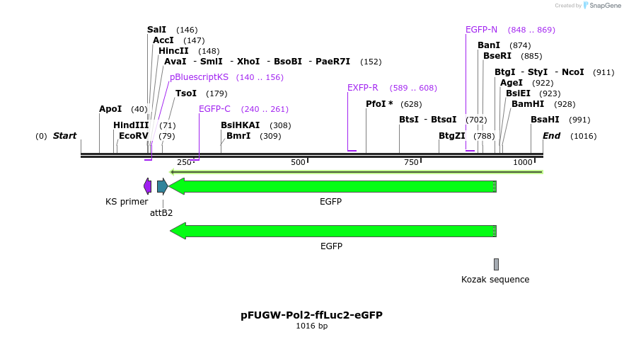 132080_map