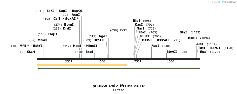 132081_map