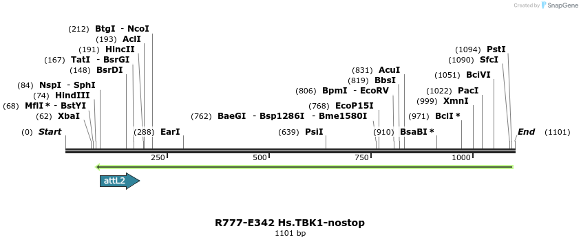 132082_map