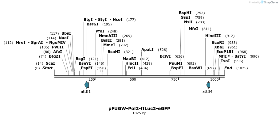 132083_map