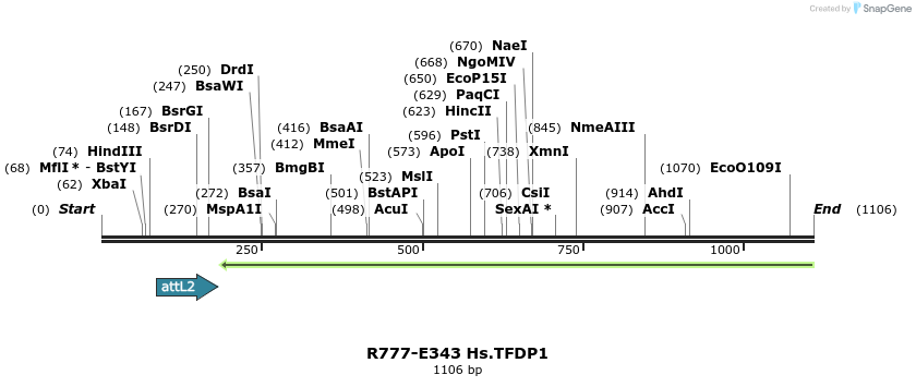 132085_map