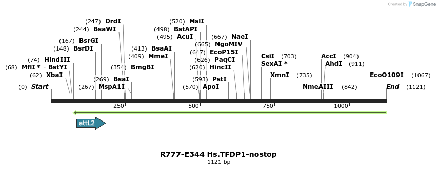 132086_map