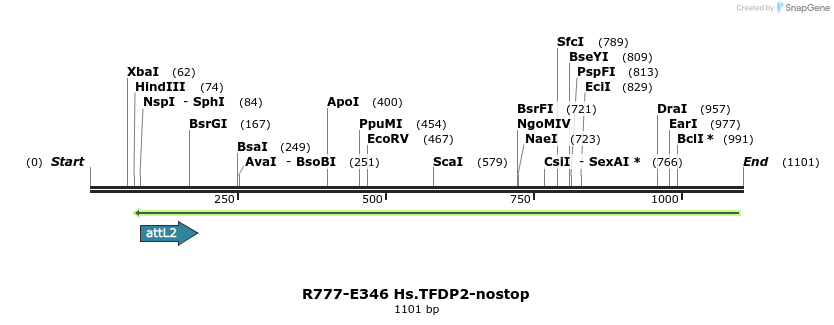 132087_map